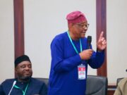 PDP is one, disregard splinter groups, Wike tells Nigerians