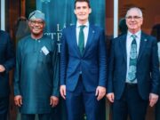 We’ll keep ensuring enabling environment in Abuja, Wike assures diplomatic community